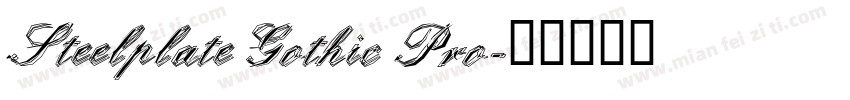 Steelplate Gothic Pro字体转换